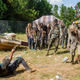 Image for article titled The Walking Dead Is Screwing With Us Again